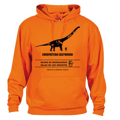 Sudadera niño con capucha impresa un color