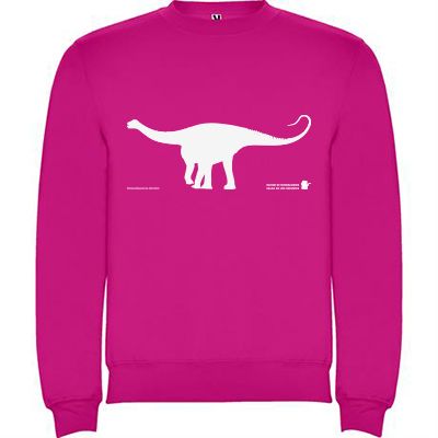 Sudadera clásica adulto impresa un color