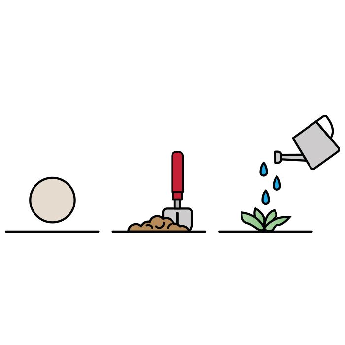 Posavasos con semillas para plantar